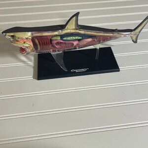 Discovery MINDBLOWN STEM 4D Shark Anatomy Interactive Marine Biology Kit